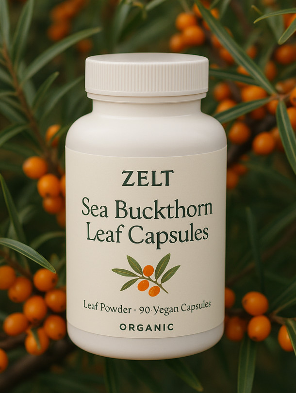 ZELT BIO Sea Buckthorn Leaf Capsules (90 pcs)