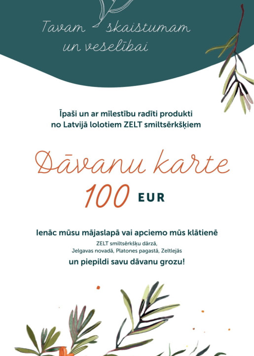 Elektroniskā dāvanu karte 100 €