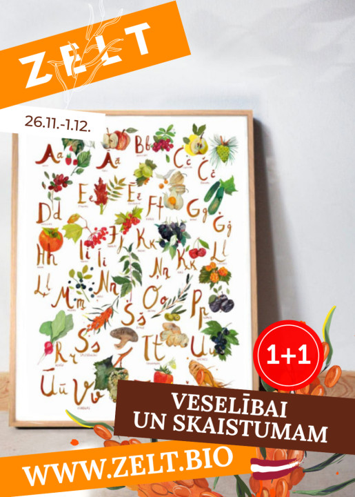 1+1 Ogu un augļu alfabēta plakāts A4