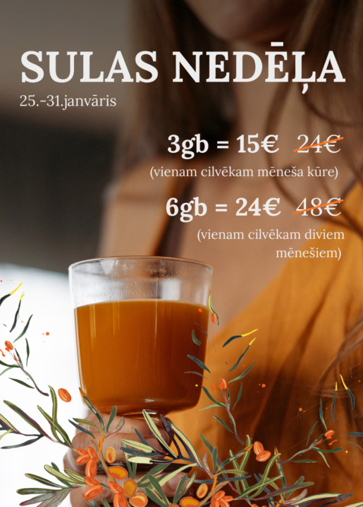 ZELT Premium Sea Buckthorn Juice Set for 1 Month (3 × 250 ml)