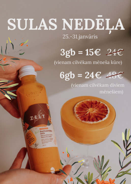 ZELT Premium Sea Buckthorn Juice Set for 2 Months (6 × 250 ml)