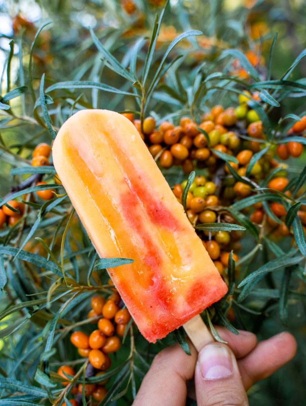 SOLD OUT / Sea buckthorn - coconut cream ice cream