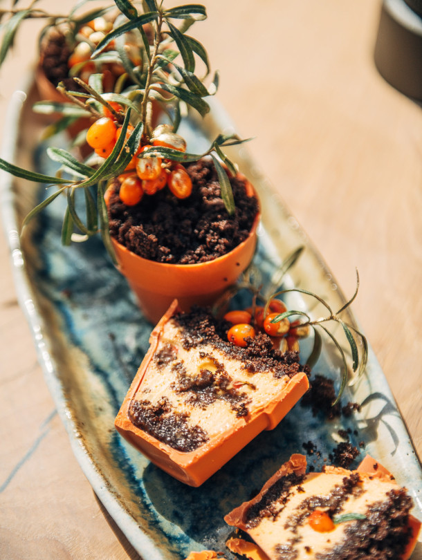 JAUNUMS / Pavārgrāmata “Mūsdienu Latvijas saimnieces” + 3 premium smiltsērkšķu sulas