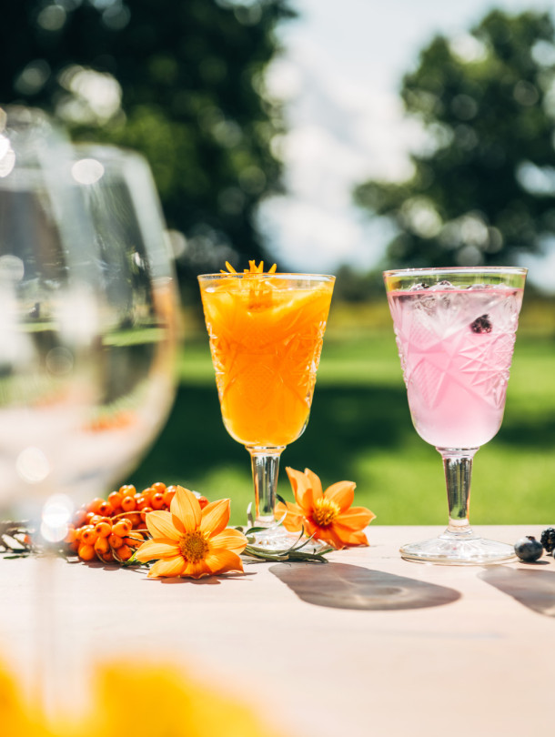 JAUNUMS / Pavārgrāmata “Mūsdienu Latvijas saimnieces” + 3 premium smiltsērkšķu sulas