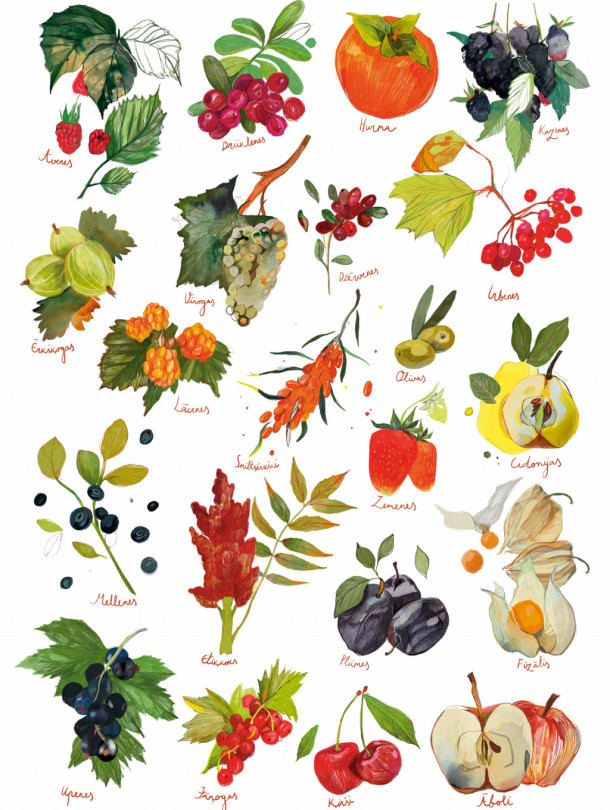 Berry and fruit alphabet poster A3