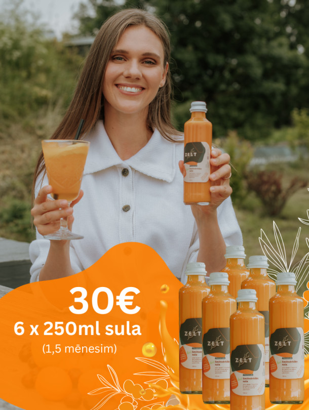 ZELT Premium sea buckthorn juice 6 x 250 ml