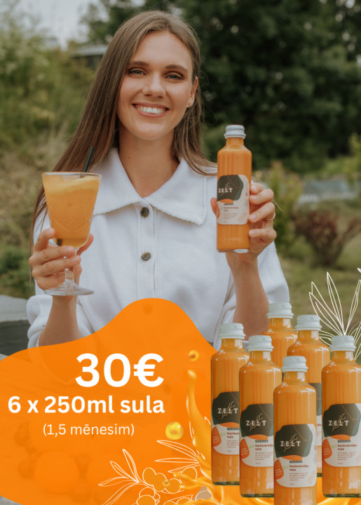 ZELT Premium smiltsērkšķu sula 6 x 250ml