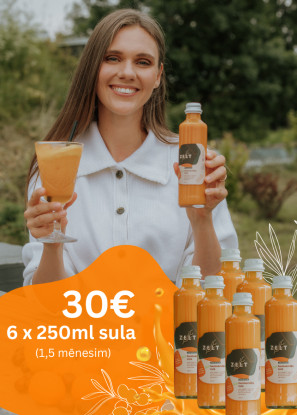 ZELT Premium smiltsērkšķu sula 6 x 250ml